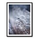 Frosty Morning 5 Wall Art Frosty Morning 5 Wall Art