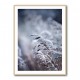 Frosty Morning 5 Wall Art Frosty Morning 5 Wall Art