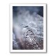 Frosty Morning 5 Wall Art Frosty Morning 5 Wall Art