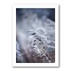 Frosty Morning 5 Wall Art Frosty Morning 5 Wall Art