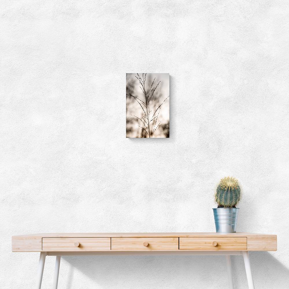 Grass 17 Wall Art Grass 17 Wall Art