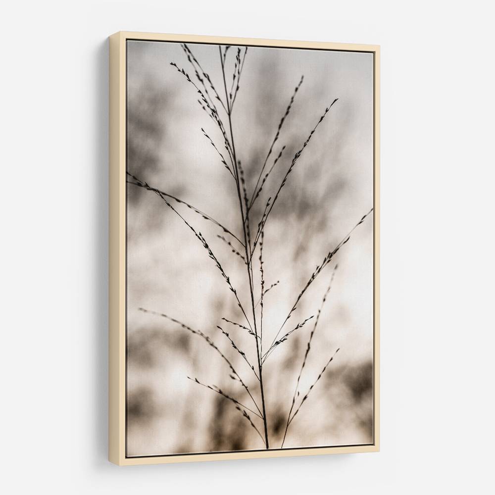 Grass 17 Wall Art Grass 17 Wall Art