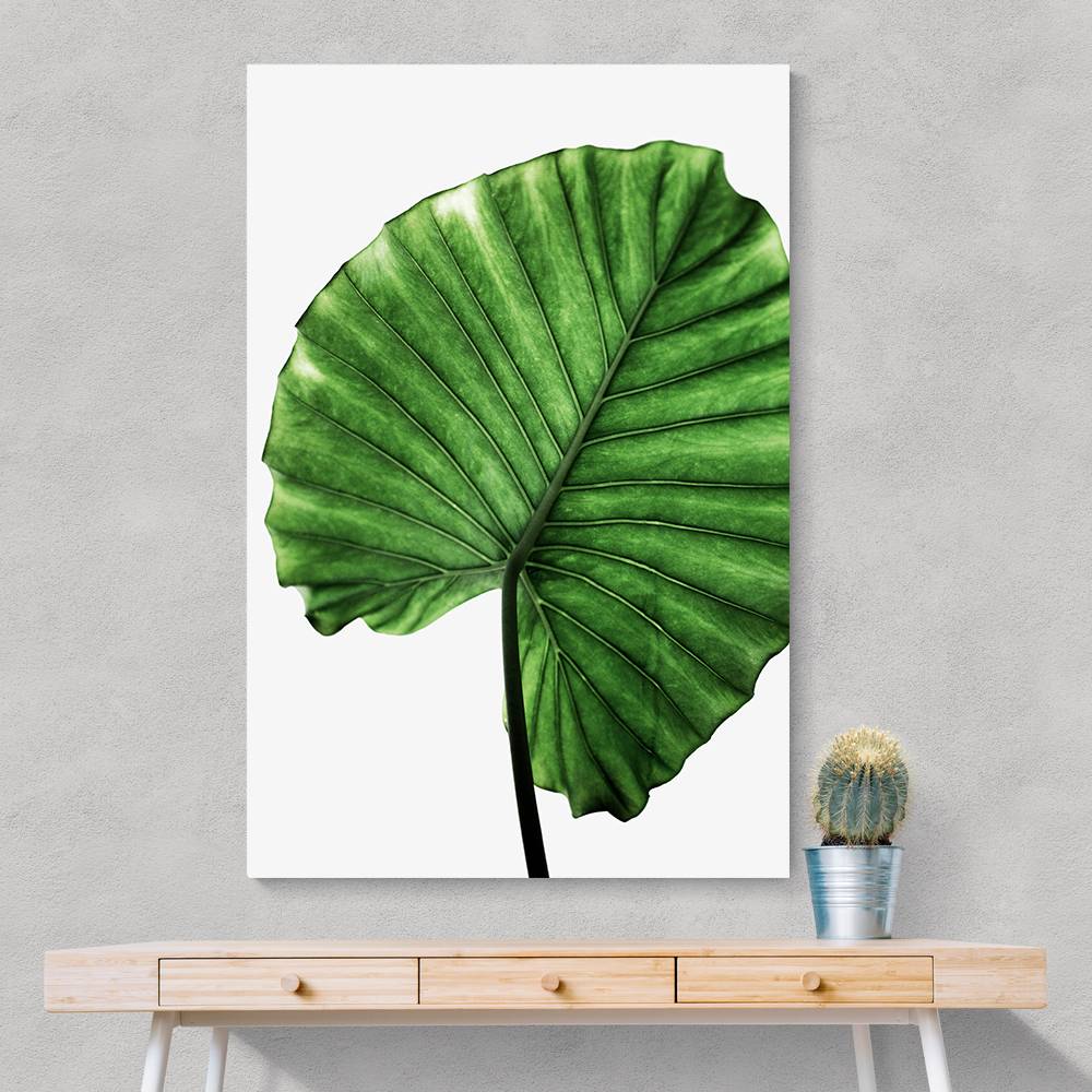 Leaves 11 Wall Art Leaves 11 Wall Art