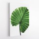 Leaves 11 Wall Art Leaves 11 Wall Art