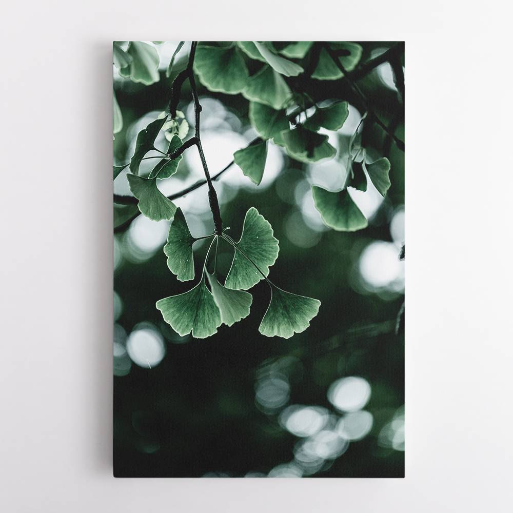 Ginko 1 Wall Art Ginko 1 Wall Art
