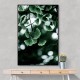 Ginko 1 Wall Art Ginko 1 Wall Art