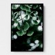 Ginko 1 Wall Art Ginko 1 Wall Art
