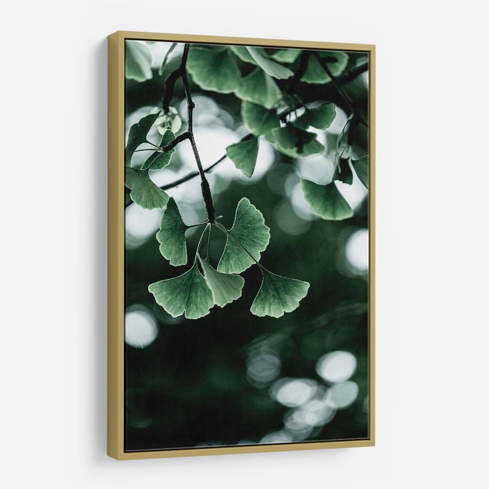 Ginko 1 Wall Art Ginko 1 Wall Art