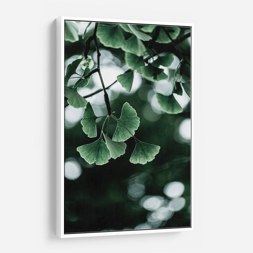 Ginko 1 Wall Art Ginko 1 Wall Art