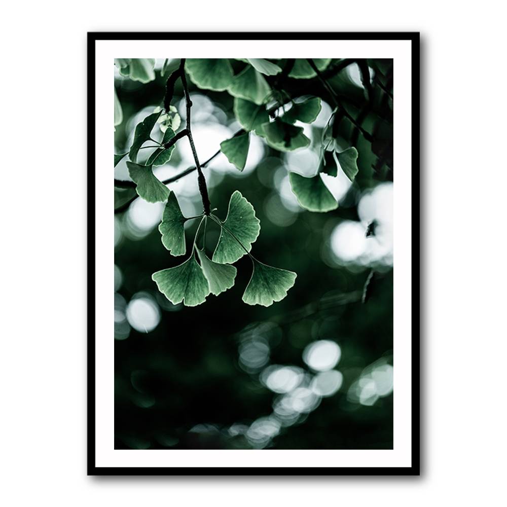 Ginko 1 Wall Art Ginko 1 Wall Art