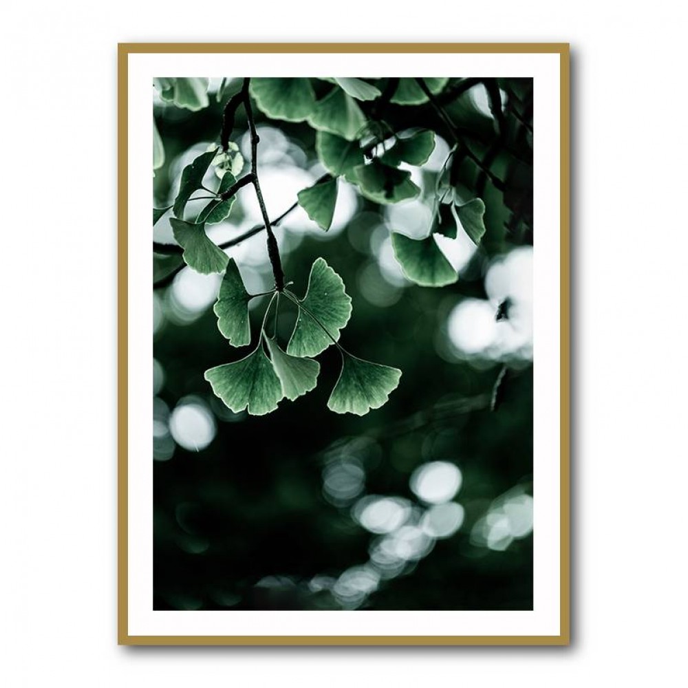 Ginko 1 Wall Art Ginko 1 Wall Art