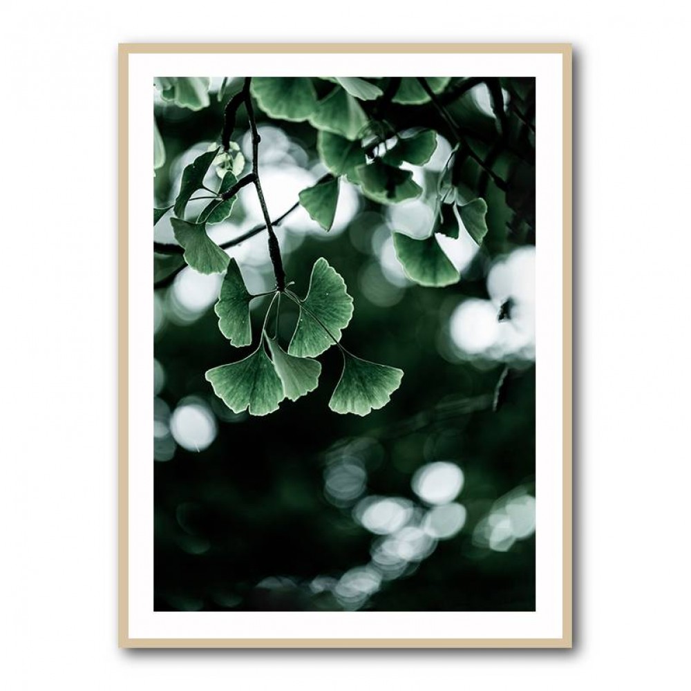 Ginko 1 Wall Art Ginko 1 Wall Art