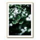 Ginko 1 Wall Art Ginko 1 Wall Art