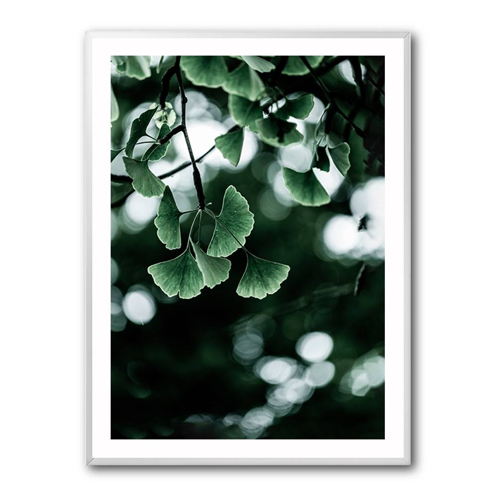 Ginko 1 Wall Art Ginko 1 Wall Art