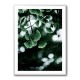 Ginko 1 Wall Art Ginko 1 Wall Art