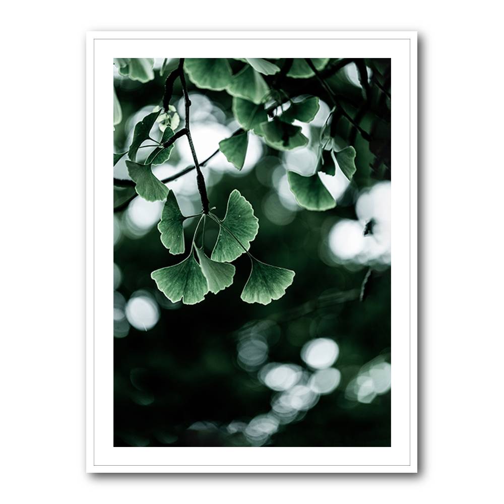 Ginko 1 Wall Art Ginko 1 Wall Art