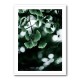 Ginko 1 Wall Art Ginko 1 Wall Art