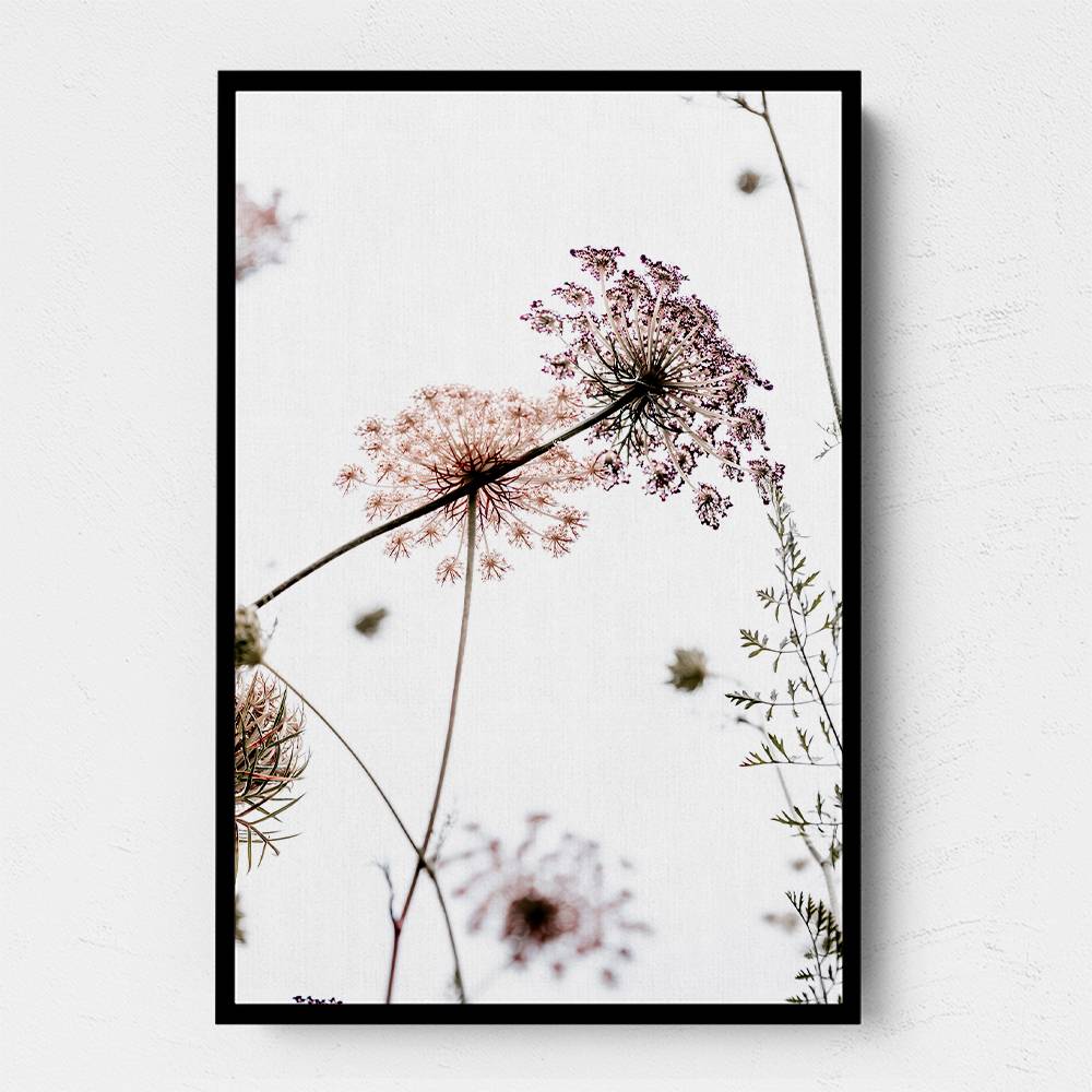 Summer Flowers Wall Art Summer Flowers Wall Art