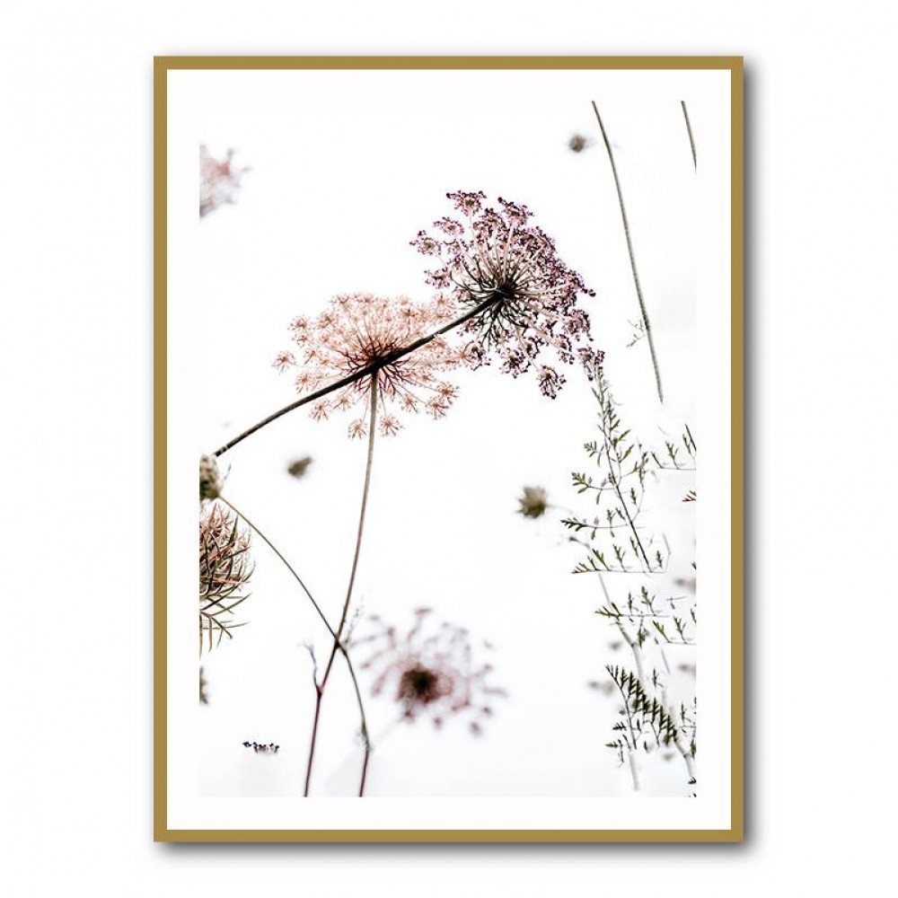 Summer Flowers Wall Art Summer Flowers Wall Art