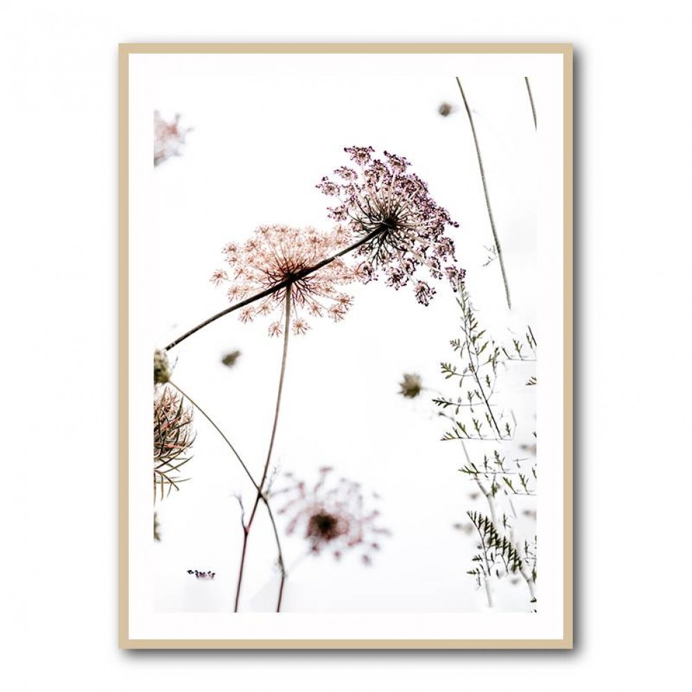 Summer Flowers Wall Art Summer Flowers Wall Art