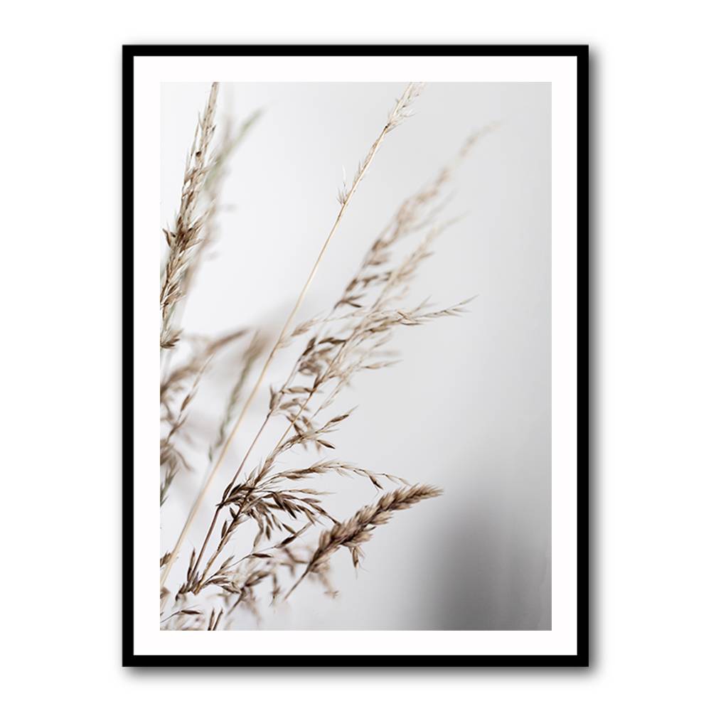 Summer Grass 2 Wall Art Summer Grass 2 Wall Art