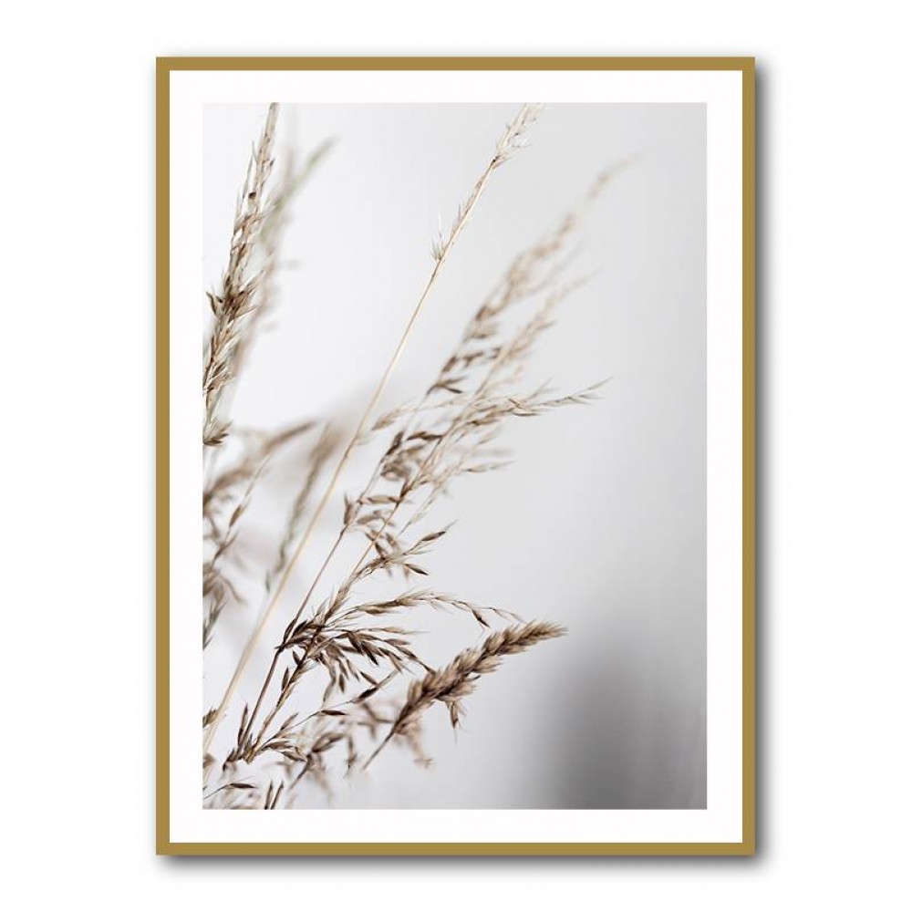 Summer Grass 2 Wall Art Summer Grass 2 Wall Art