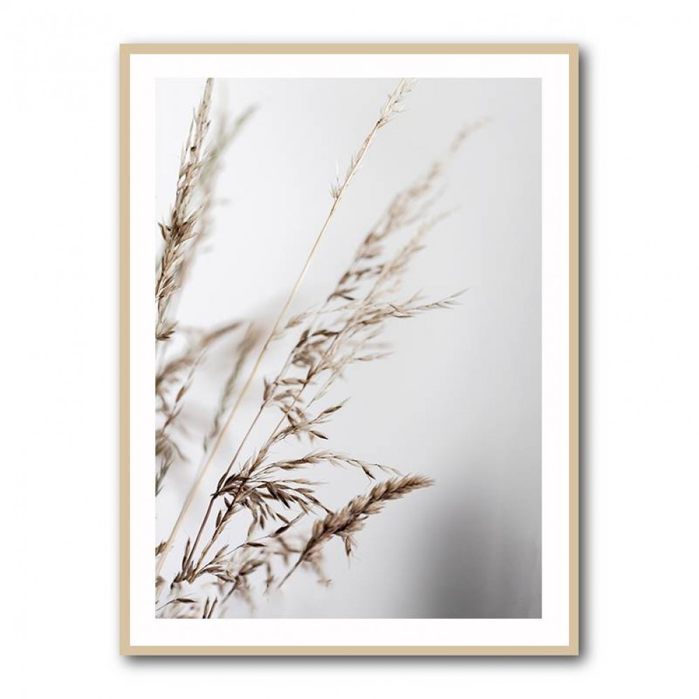 Summer Grass 2 Wall Art Summer Grass 2 Wall Art