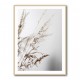 Summer Grass 2 Wall Art Summer Grass 2 Wall Art