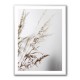 Summer Grass 2 Wall Art Summer Grass 2 Wall Art