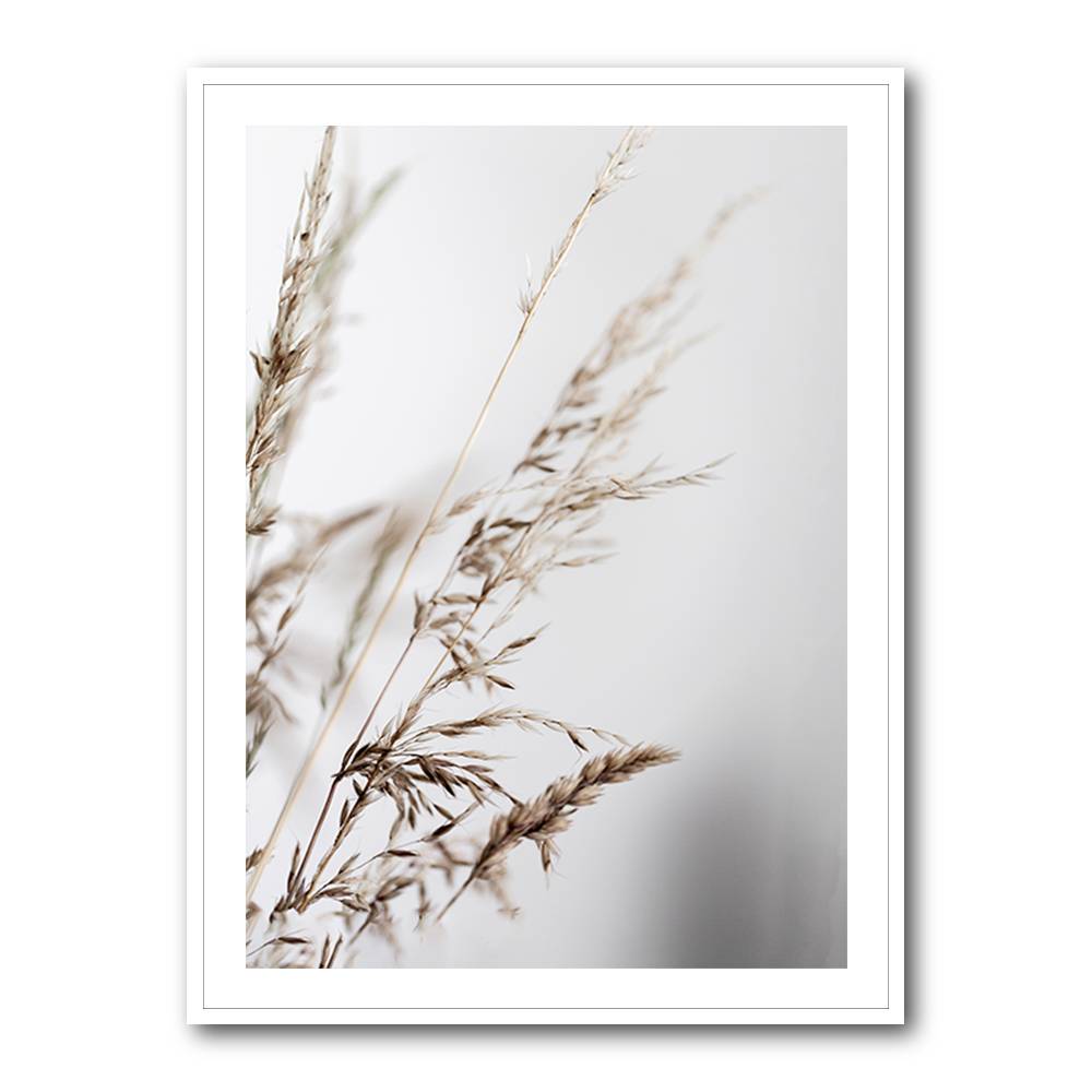 Summer Grass 2 Wall Art Summer Grass 2 Wall Art