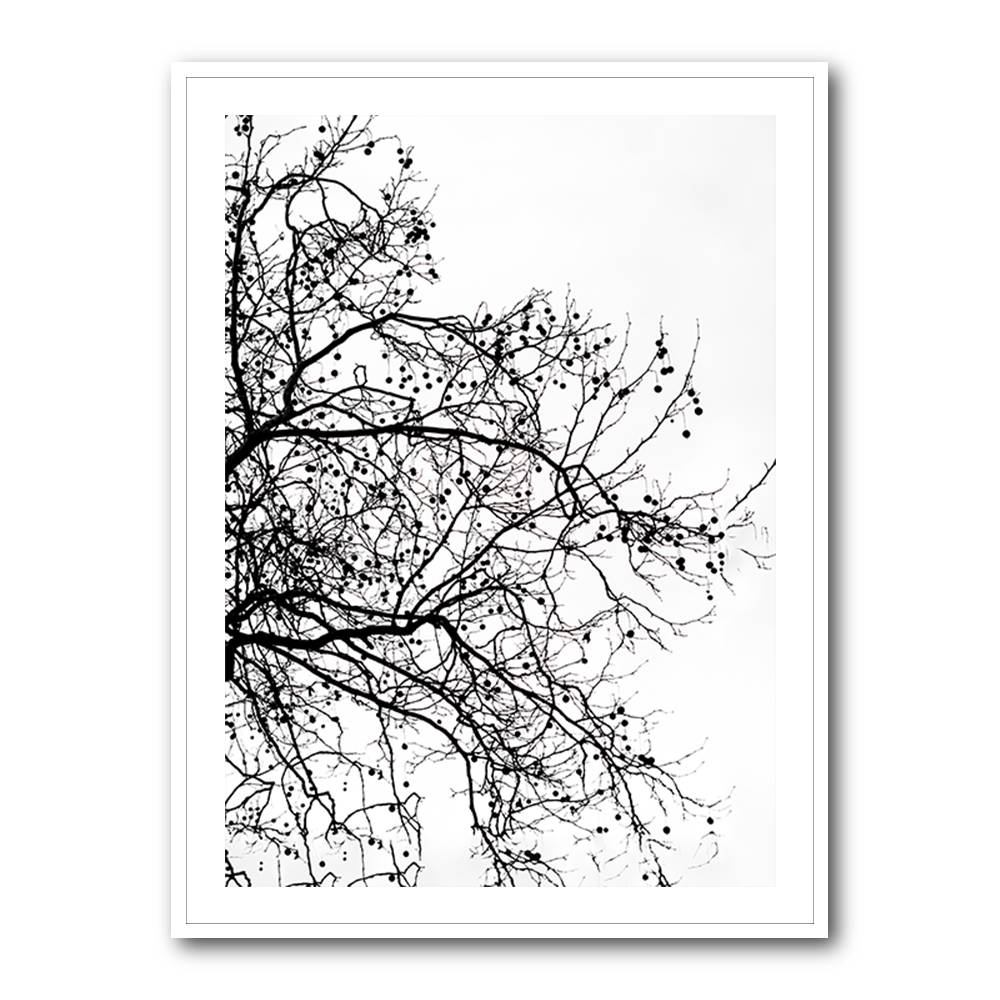 Winter Silhouettes 5 Wall Art Winter Silhouettes 5 Wall Art