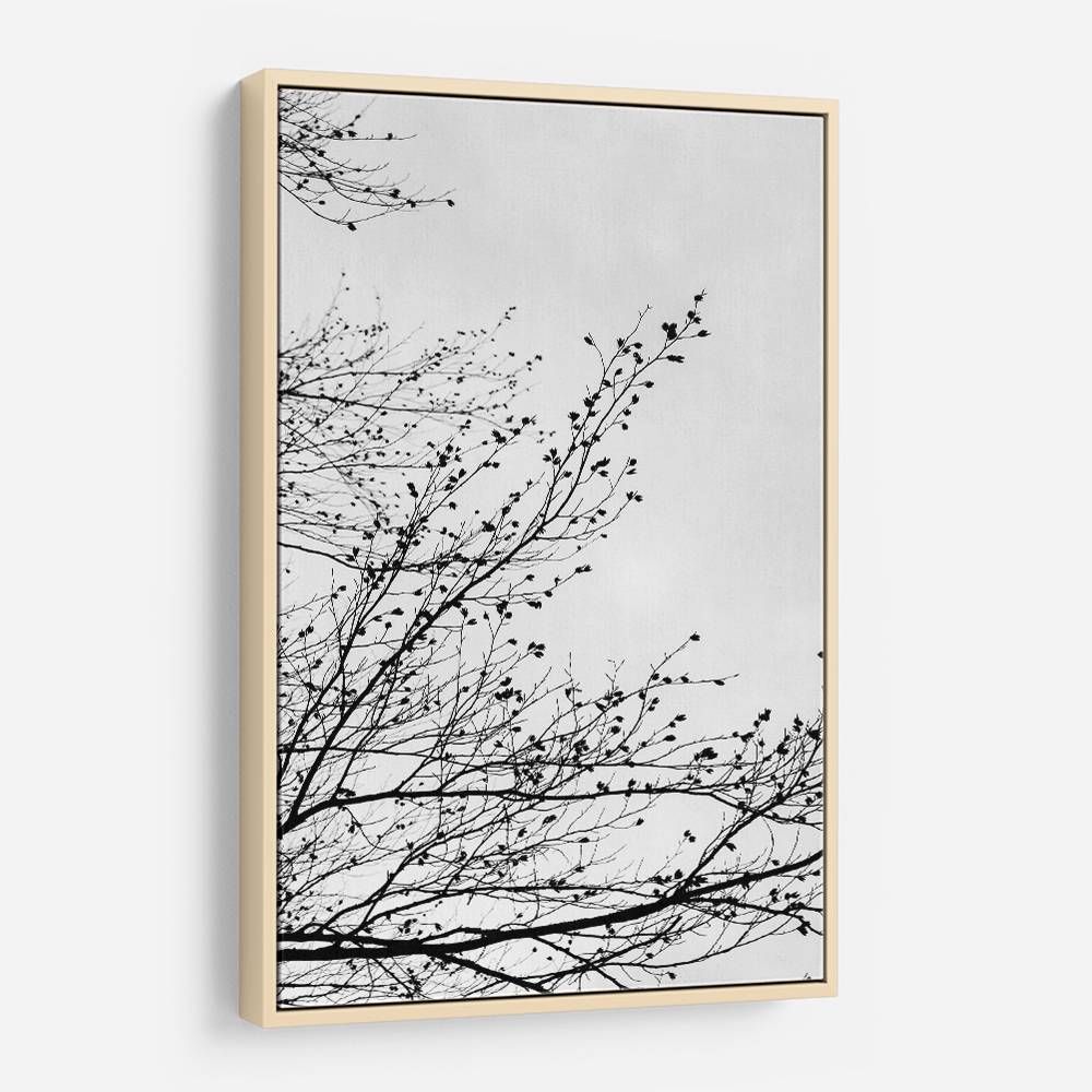 Winter Silhouettes 7 Wall Art Winter Silhouettes 7 Wall Art