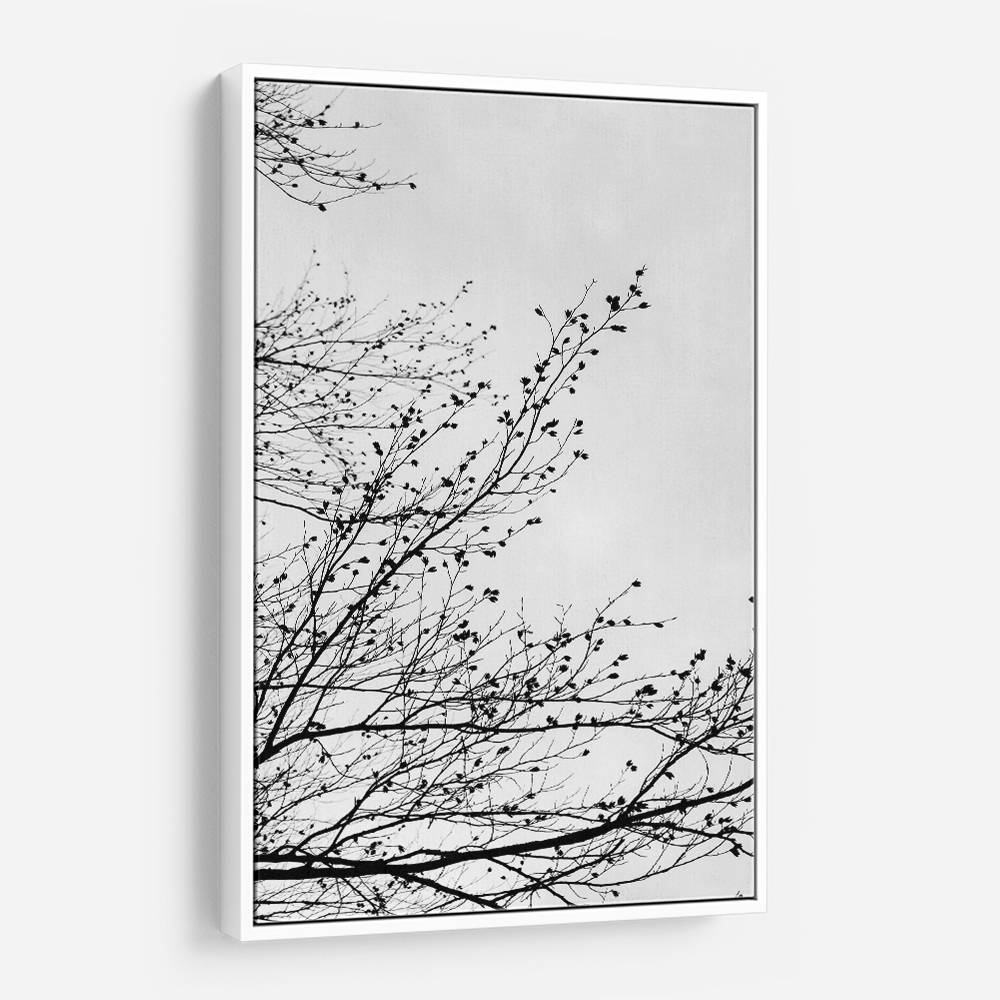 Winter Silhouettes 7 Wall Art Winter Silhouettes 7 Wall Art