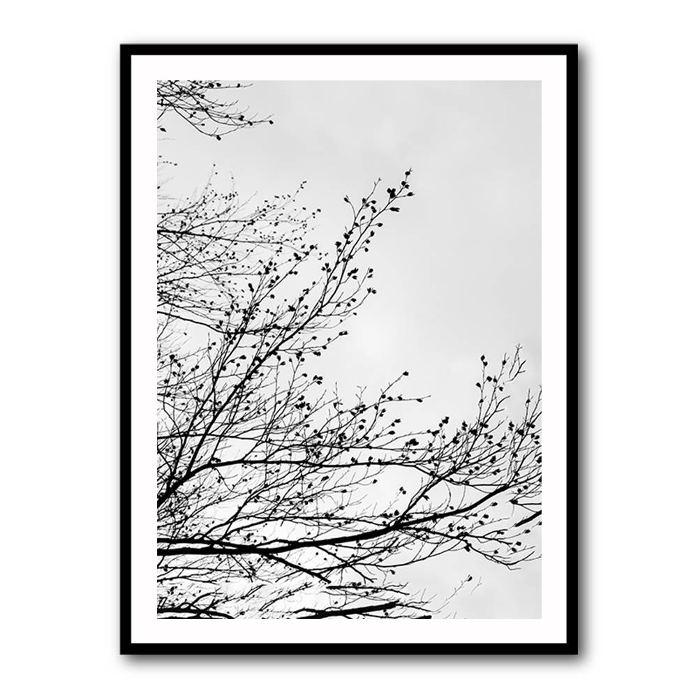 Winter Silhouettes 7 Wall Art Winter Silhouettes 7 Wall Art