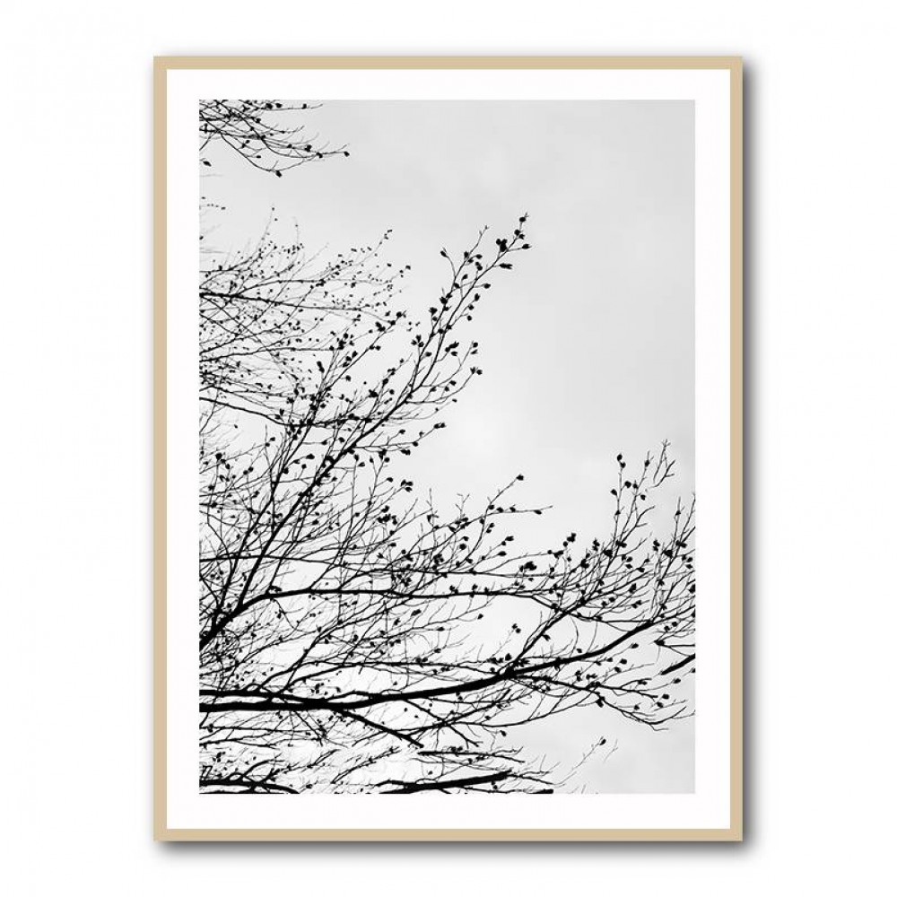 Winter Silhouettes 7 Wall Art Winter Silhouettes 7 Wall Art