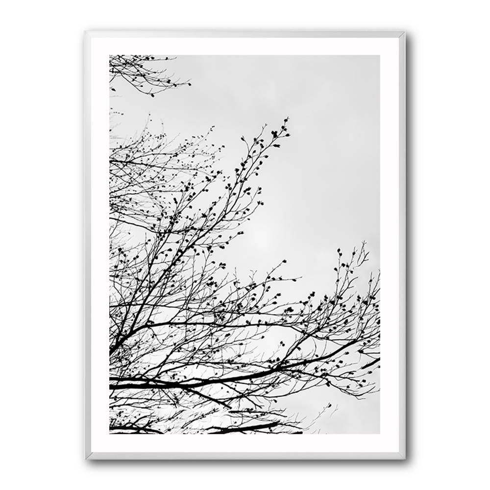 Winter Silhouettes 7 Wall Art Winter Silhouettes 7 Wall Art