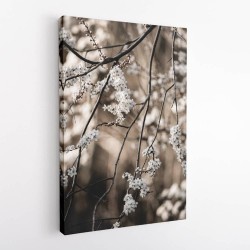 Spring Branches 1 Wall Art