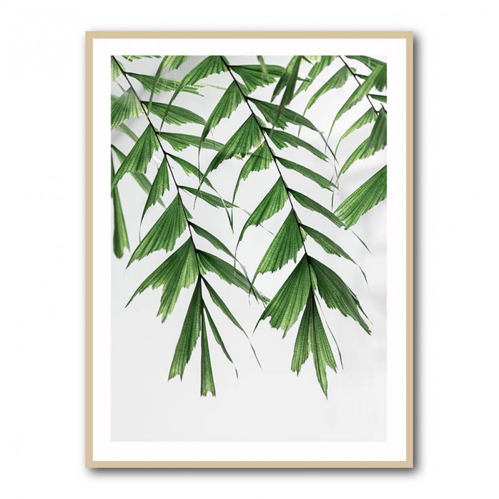 Summer Branches 3 Wall Art Summer Branches 3 Wall Art