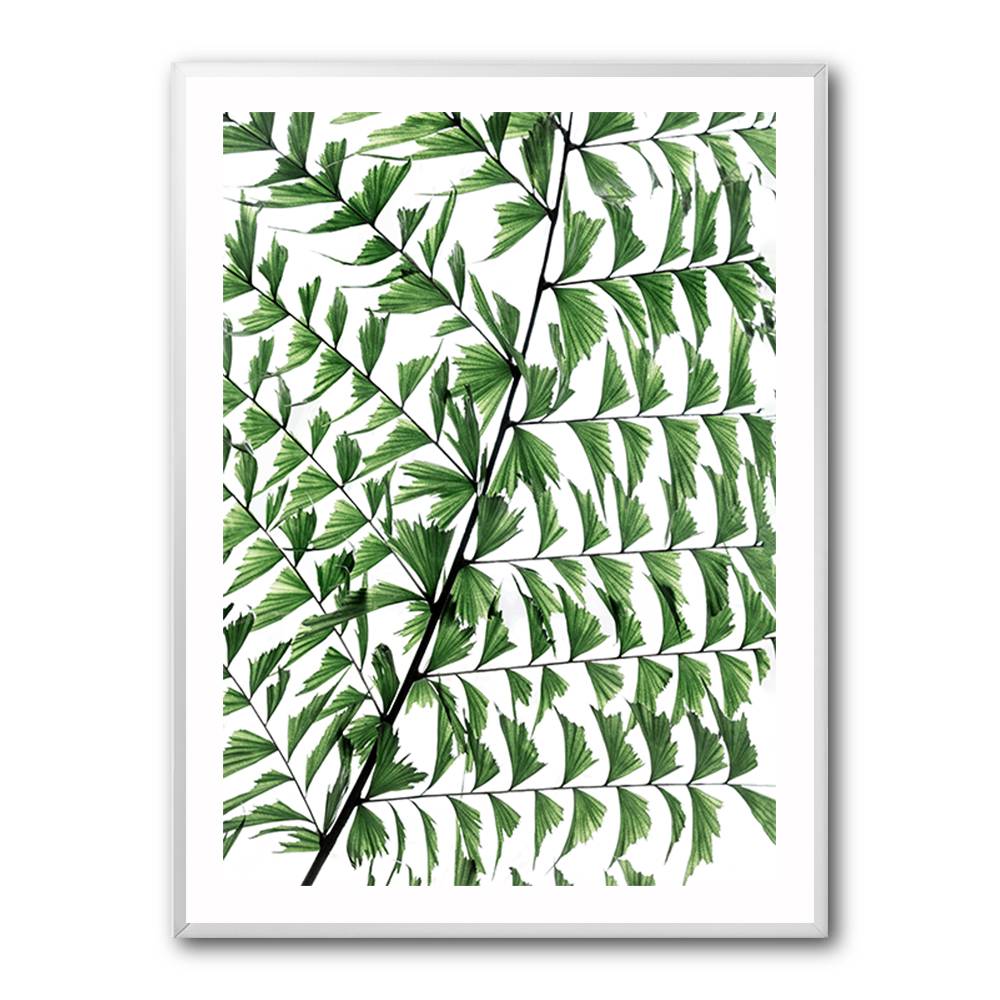 Summer Branches 4 Wall Art Summer Branches 4 Wall Art