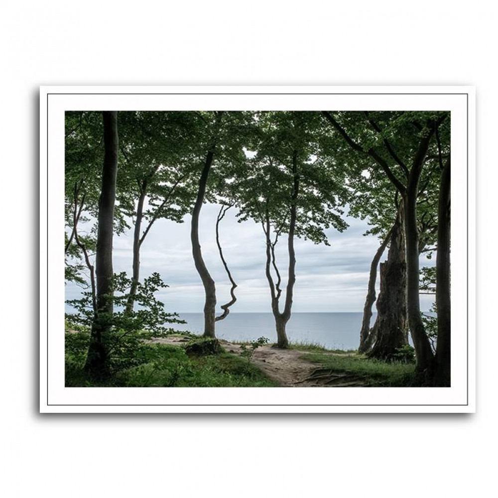 Forest At The Sea 2 Wall Art Forest At The Sea 2 Wall Art