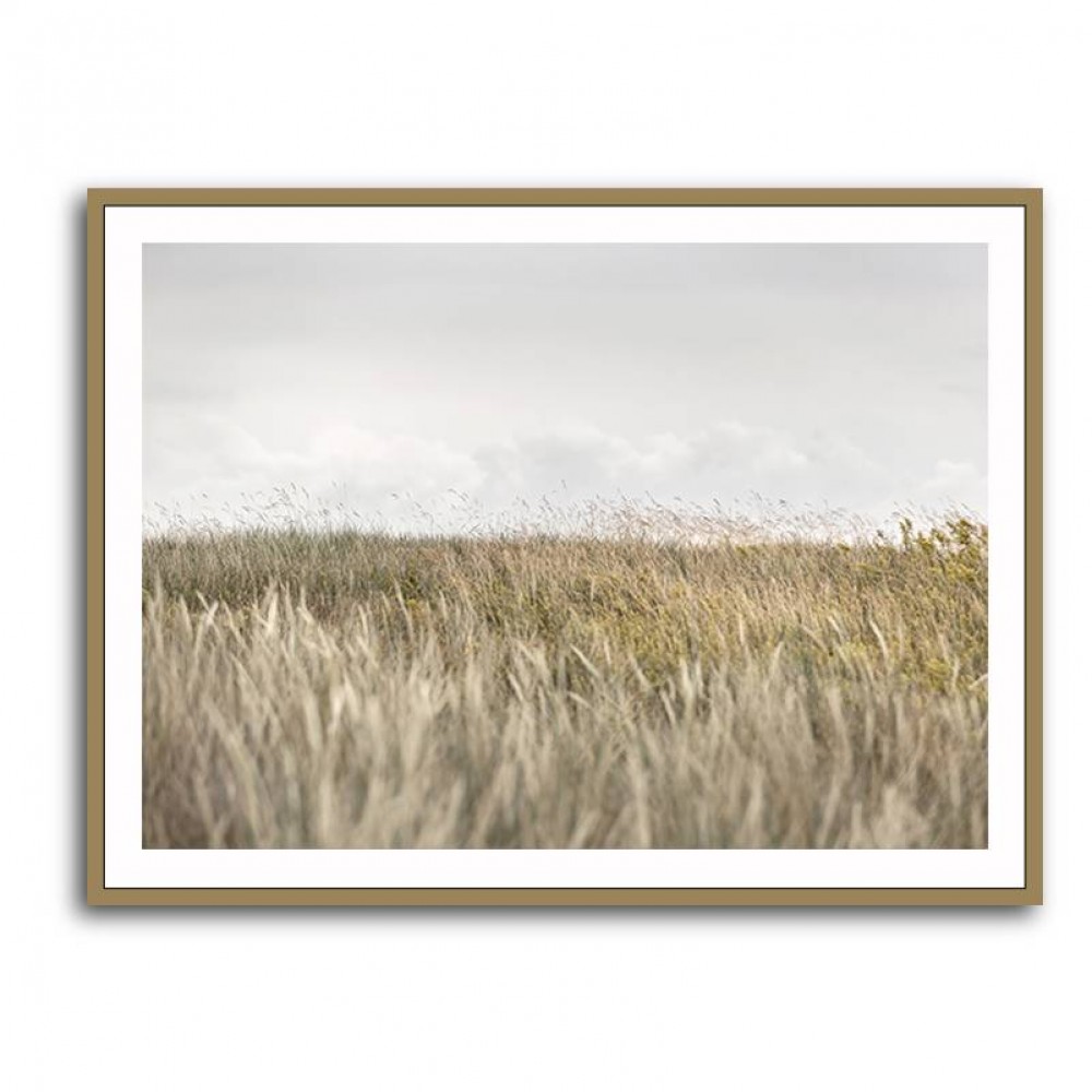 Dunes And Clouds 2 Wall Art