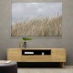Dunes And Clouds Wall Art Dunes And Clouds Wall Art