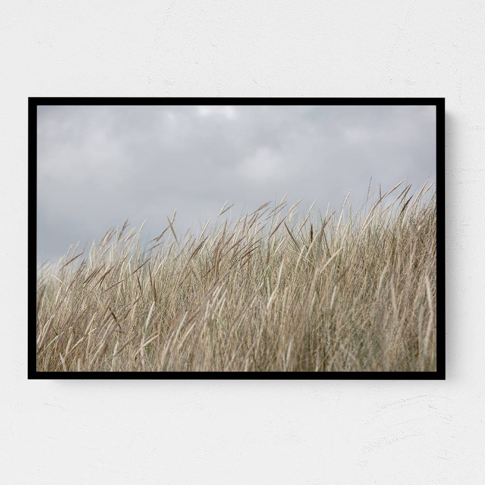 Dunes And Clouds Wall Art Dunes And Clouds Wall Art