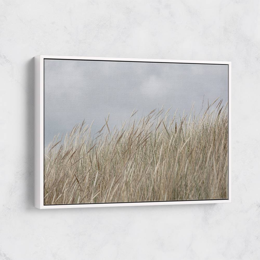 Dunes And Clouds Wall Art Dunes And Clouds Wall Art