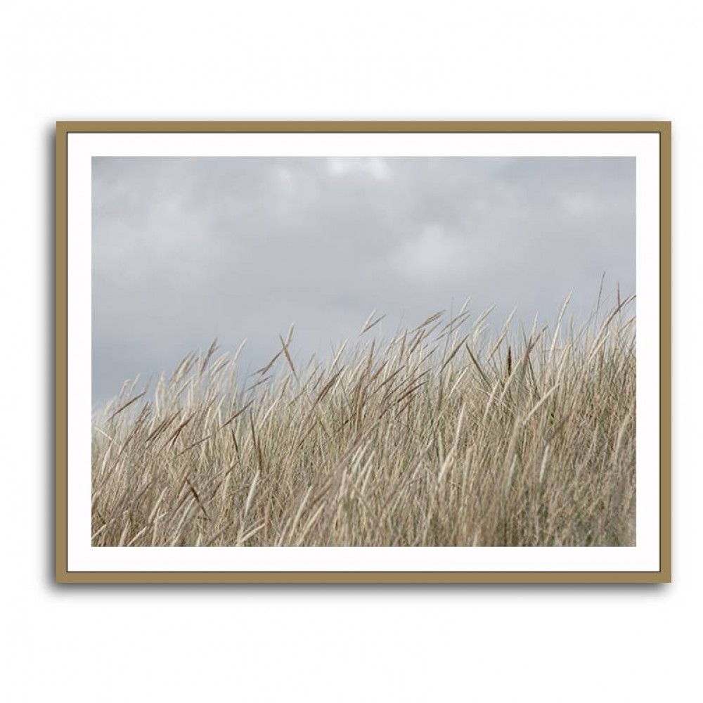 Dunes And Clouds Wall Art Dunes And Clouds Wall Art