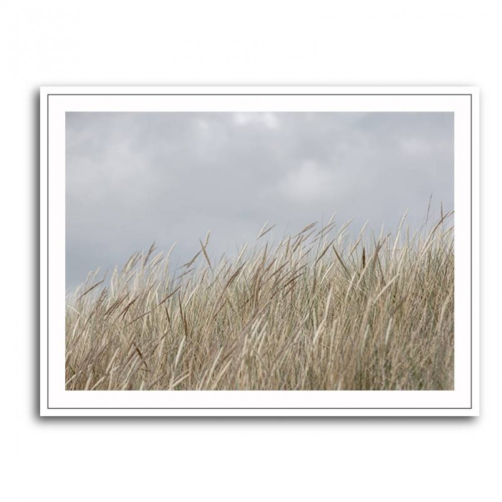 Dunes And Clouds Wall Art Dunes And Clouds Wall Art