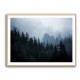 Foggy Woods 5 Wall Art Foggy Woods 5 Wall Art