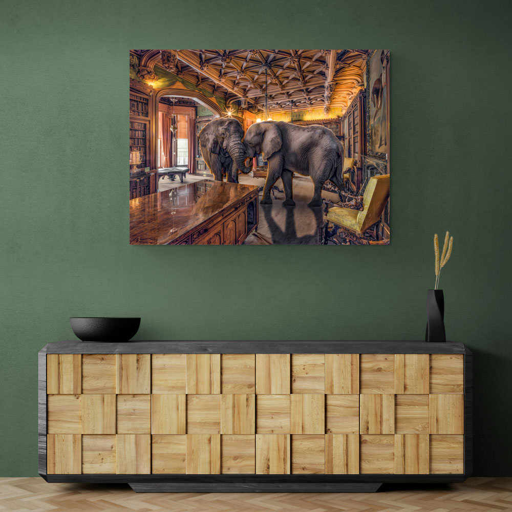 Elephants 1 Elephants 1