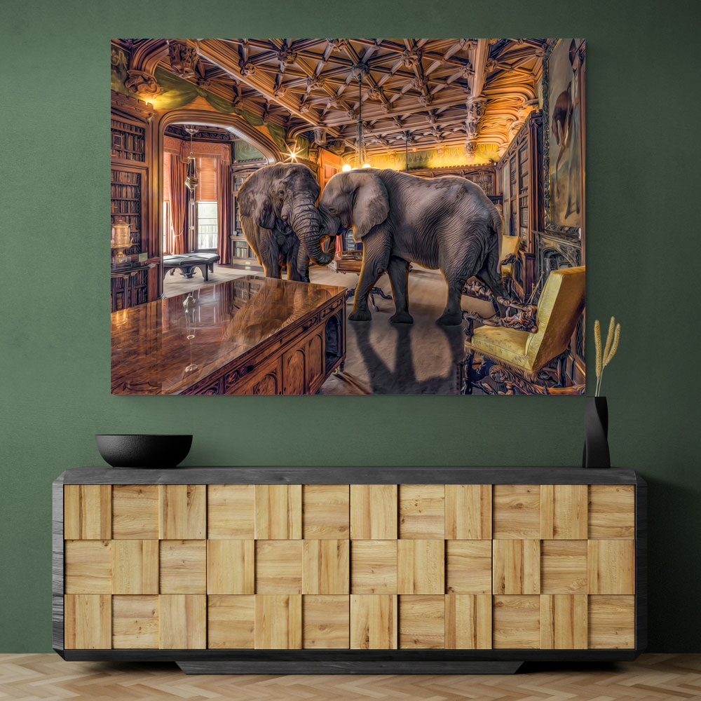 Elephants 1 Elephants 1