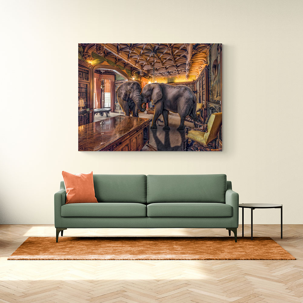 Elephants 1 Elephants 1